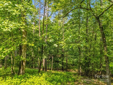 0 Creekside Cir unit 120 CAR4263148, Rutherfordton, NC 28139 - photo 4