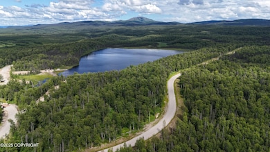 Airstrip_Looking North_2