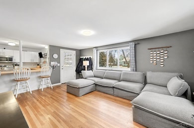 621 Lockwood St, Chesaning, MI 48616 - photo 4