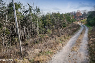 0 Martins Creek Hwy, Granville, TN 38564 - photo 2