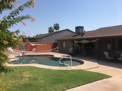 BACK YARD