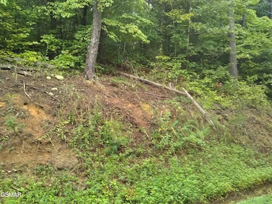 23 Walden Ridge Rd, Sevierville, TN 37862 - photo 3