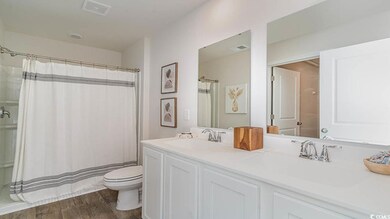 Bathroom with wood-type flooring, vanity, and toil