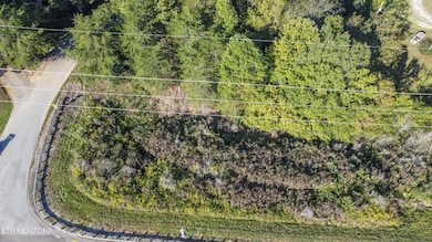 14 Clear Branch Rd, Loudon, TN 37774 - photo 6