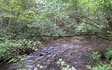 Additional View