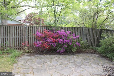 2521 Harmon Rd, Silver Spring, MD 20902 - photo 4