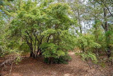 000 Fire Tower Rd, Aiken, SC 29803 - photo 3