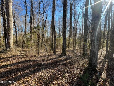 0 N Delray Rd unit 168762, Thomaston, GA 30286 - photo 2