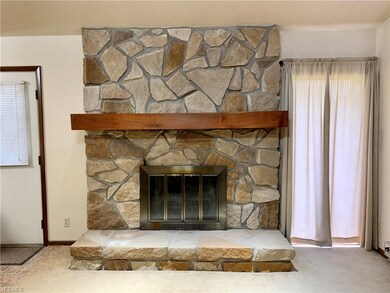Wood burning fireplace