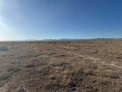 003. 2 Acre - Looking West