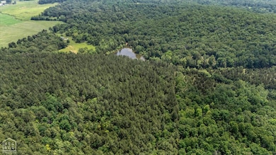 40 Bruce Mitchell Rd, Ravenden Spring, AR 72460 - photo 5