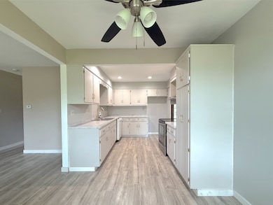 3542 Ronald Rd, Crete, IL 60417 - photo 3