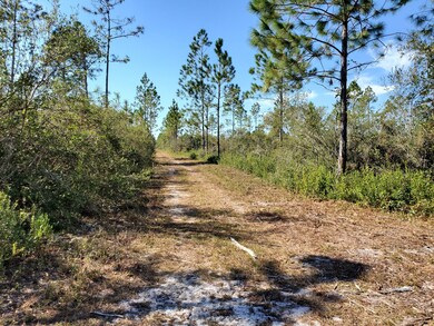 0 County Line Rd unit 20907517, Lee, FL 32059 - photo 4