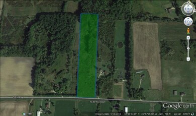 8.7 Acres on 38th St Paw Paw Close Up