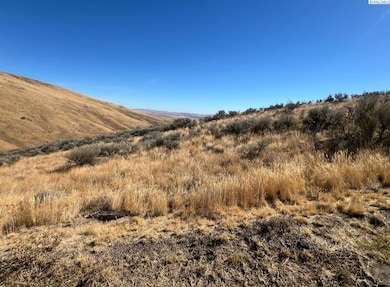 NKA Unkown, Yakima, WA 98901 - photo 2