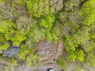 2208 Colice Rd SE, Huntsville, AL 35801 - photo 3