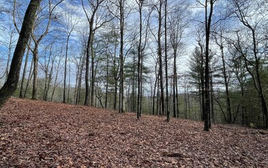 Additional View