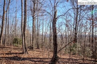 2221 Nighthawk Ridge Ct, Lenoir, NC 28645 - photo 6