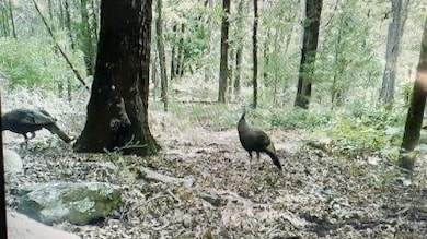 147A Sherman Rd, Moyers, OK 74557 - photo 3