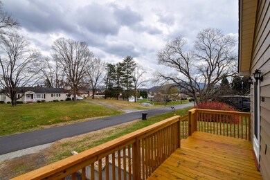 3742 Ellen Dr Salem VA 24153-large-005-8