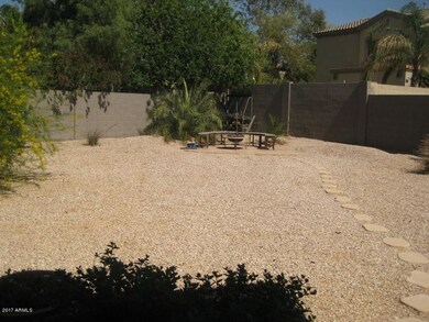 Back yard 3