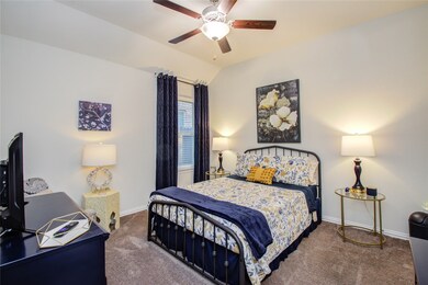 3435 Cabernet Shores Dr, Fulshear, TX 77441 - photo 7