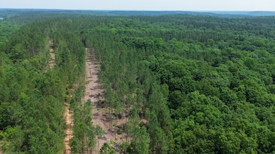 0 Mayfield Divide Rd, Centerville, TN 37033 - photo 5