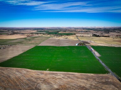 50671 Schubert Rd, Milton Freewater, OR 97862 - photo 5