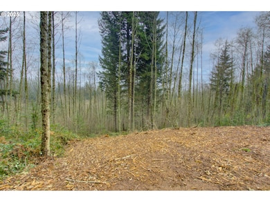 0 NE Hancock Rd unit 489816986, Camas, WA 98607 - photo 5