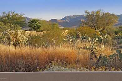 Rear Mountain View