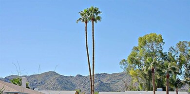 Mountain Views from Street