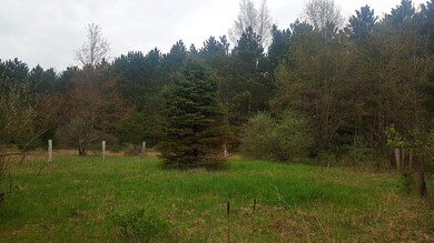 TBD County Line Rd, Plymouth, IN 46563 - photo 2