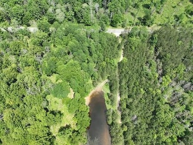 00 V/L W 13 Mile Rd unit Par E, Bitely, MI 49309 - photo 5