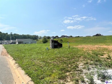 0 Lambrusco Way, Vine Grove, KY 40175 - photo 4