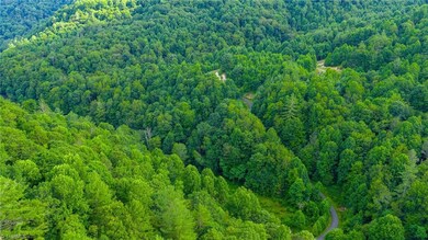 TBD 8 Big Laurel Rd, Creston, NC 28615 - photo 6