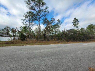 0 SW Winding Hills Rd unit MFROM714400, Dunnellon, FL 34431 - photo 4