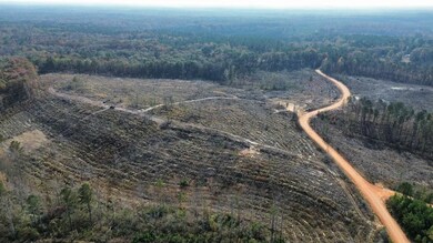 40 Boromville Rd, Hurtsboro, AL 36860 - photo 7