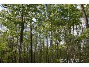 1218 Kanawa Ln unit 123, Arden, NC 28704 - photo 7