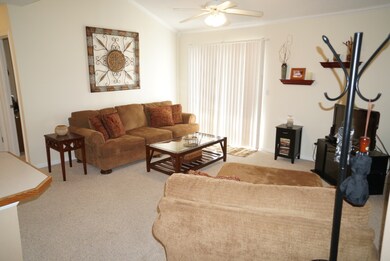 Living Room main pic