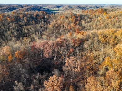 0 Williams Hollow Rd, Crown City, OH 45623 - photo 3