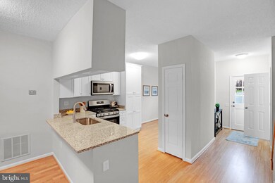 7207 Stover Dr, Alexandria, VA 22306 - photo 4