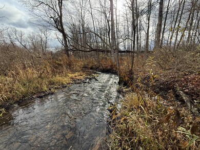 WP01 Caswell Rd, Freeville, NY 13068 - photo 5