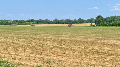 IMG_8429