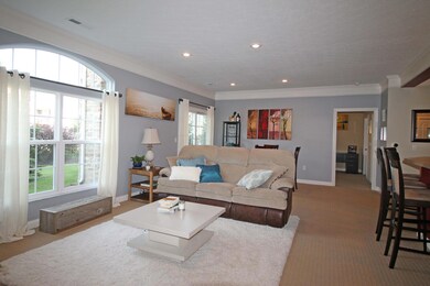 Large arch top window