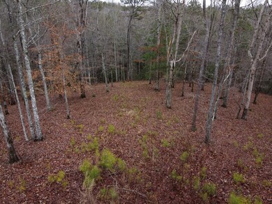 Great open lot