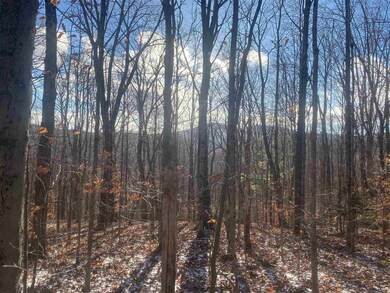 9 Vt Route W, Wilmington, VT 05363 - photo 7