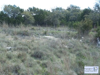 Additional View: Trees and level building sites