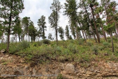 131 Worcester Dr, Ruidoso, NM 88345 - photo 3