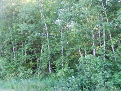 Land/Lot.
