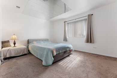 17701 Park Blvd unit 104, Lansing, IL 60438 - photo 7